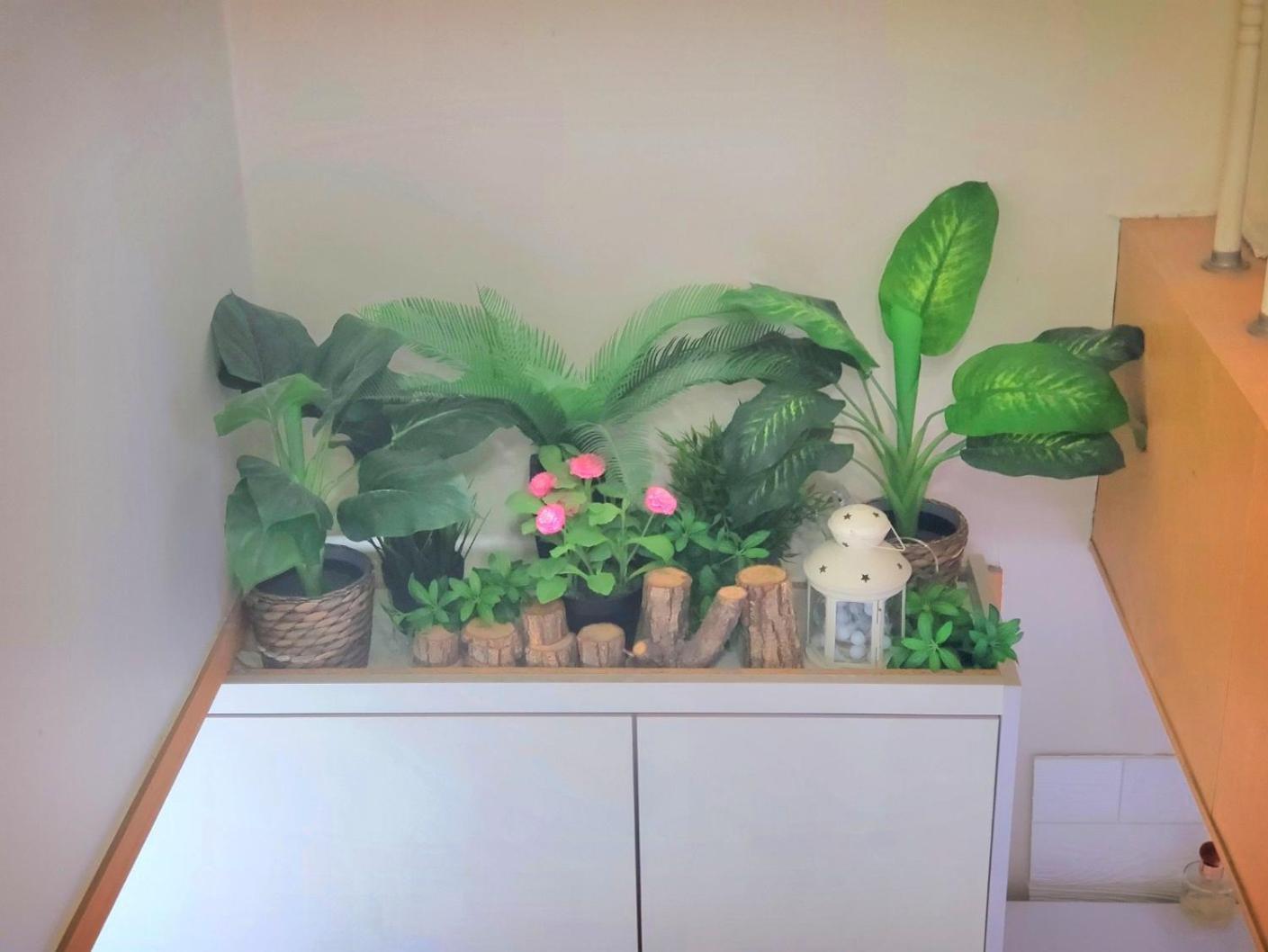 Apartment Like U Goyang